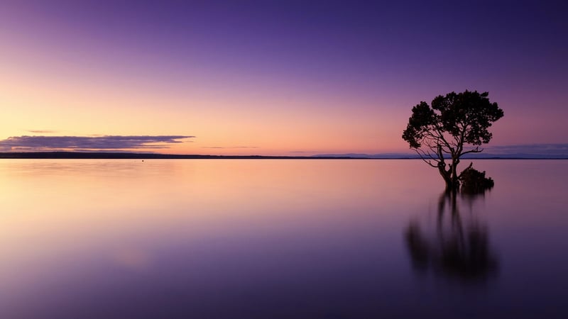 Sunset over the ocean